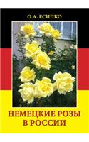 German rose in Russia