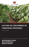 Culture de Concombres En Conditions Protégées