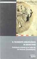 El yacimiento arqueologico de Aguas Vivas: Prehistoria reciente en el valle del rio Henares (Guadalajara)