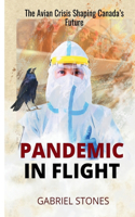 Pandemic in Flight
