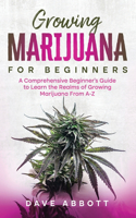 Growing Marijuana for Beginners