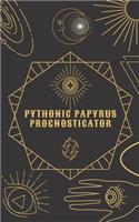 Pythonic Papyrus Prognosticator: a personal oracle