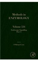 Endosome Signaling Part A: Volume 534(Volume 534 Methods in Enzymology)