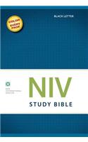 Study Bible-NIV