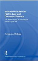 International Human Rights Law and Domestic Violence