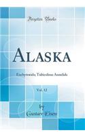 Alaska, Vol. 12: Enchytræids; Tubicolous Annelids (Classic Reprint)