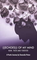 (((Echoes))) of My Mind