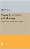 Molds, Molecules, and Metazoa