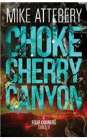 Chokecherry Canyon