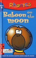 Baboon on the Moon