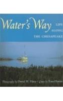 Water's Way