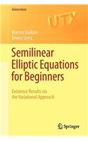 Semilinear Elliptic Equations for Beginners