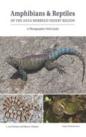 Amphibians & Reptiles of the Anza-Borrego Desert Region
