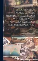 Souvenir Of Niagara Falls, Showing Summer And Winter Views Of Niagara Falls And Their Surroundings.-