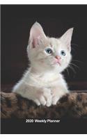Plan On It 2020 Weekly Calendar Planner - Portrait Of A White Kitten