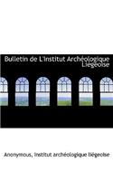 Bulletin de L'Institut Arch Ologique Li Geoise