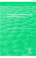 Occupational Socialization and Working Lives (1994)