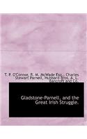 Gladstone-Parnell, and the Great Irish Struggle.