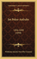 Im Polen-Aufruhr: 1846-1848 (1898)