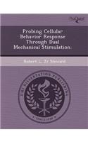 Probing Cellular Behavior Response Through Dual Mechanical Stimulation