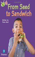 Bug Club Phonics - Phase 1 Unit 0: From Seed to Sandwich