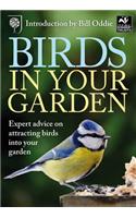 Birds in Your Garden