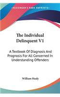 Individual Delinquent V1: A Textbook Of Diagnosis And Prognosis For All Concerned In Understanding Offenders