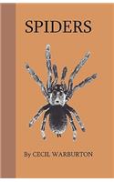 Spiders