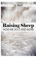 Raising Sheep - How We Do It And More