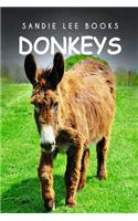 Donkeys - Sandie Lee Books