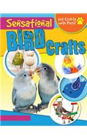 Sensational Bird Crafts