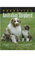 The Essential Australian Shepherd