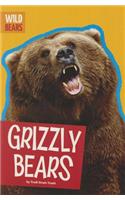 Grizzly Bears