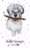 Miniature Schnauzer 2020 Planner: Dated Weekly Diary With To Do Notes & Dog Quotes