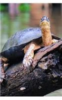 Turtle on a Log Over the River Journal: 150 page lined notebook/diary
