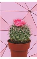 Bullet Journal: Awesome Cactus Bullet Journal - 120-Page 1/2 Inch Dot Grid Cactus Notebook - 6 X 9 Perfect Bound Paperback