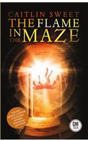 The Flame in the Maze