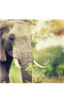 Animal Stories