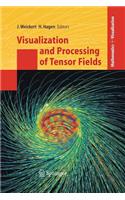 Visualization and Processing of Tensor Fields