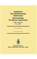 Nuklearmedizin / Nuclear Medicine