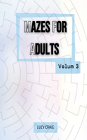 Mazes for Adults