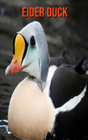 Eider Duck: Amazing Photos & Fun Facts Book About Eider Duck For Kids