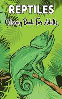 Reptiles Coloring Book For Adults