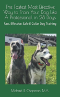 Fastest Most Effective Way to Train Your Dog Like A Professional in 28 Days