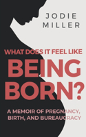What Does It Feel Like Being Born?