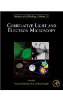 Correlative Light and Electron Microscopy