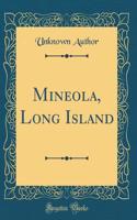 Mineola, Long Island (Classic Reprint)