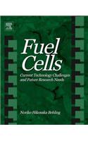 Fuel Cells