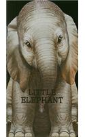 Little Elephant