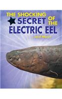 Shocking Secret of the Electric Eel...and More!